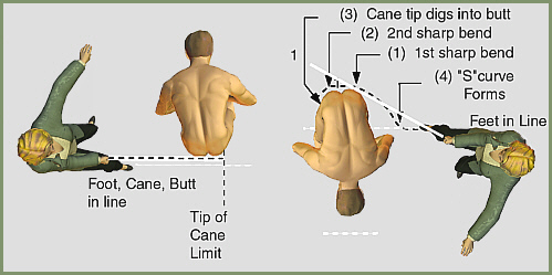 How to diagram of Caning