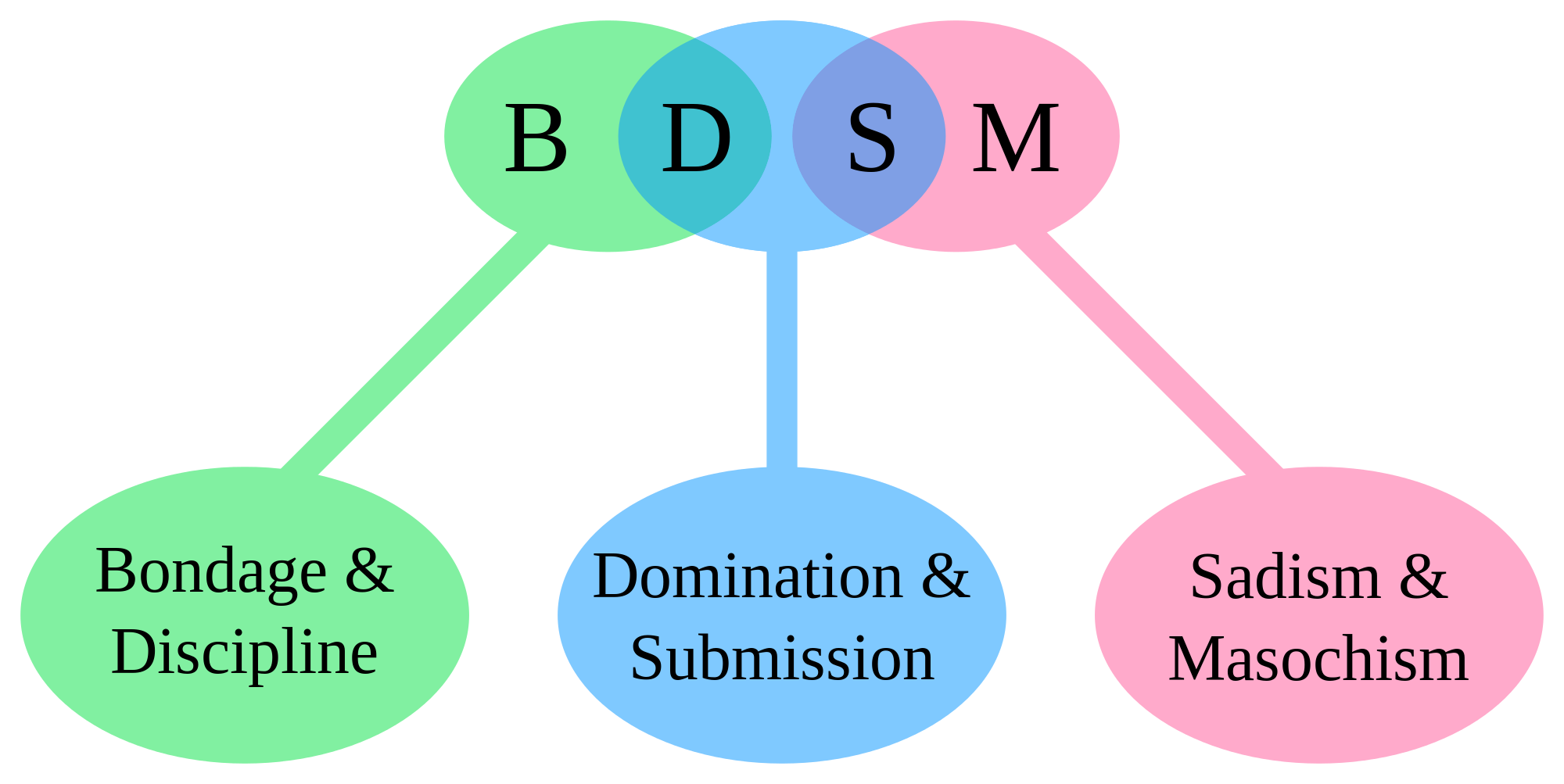 A diagram depicting the BDSM acronym